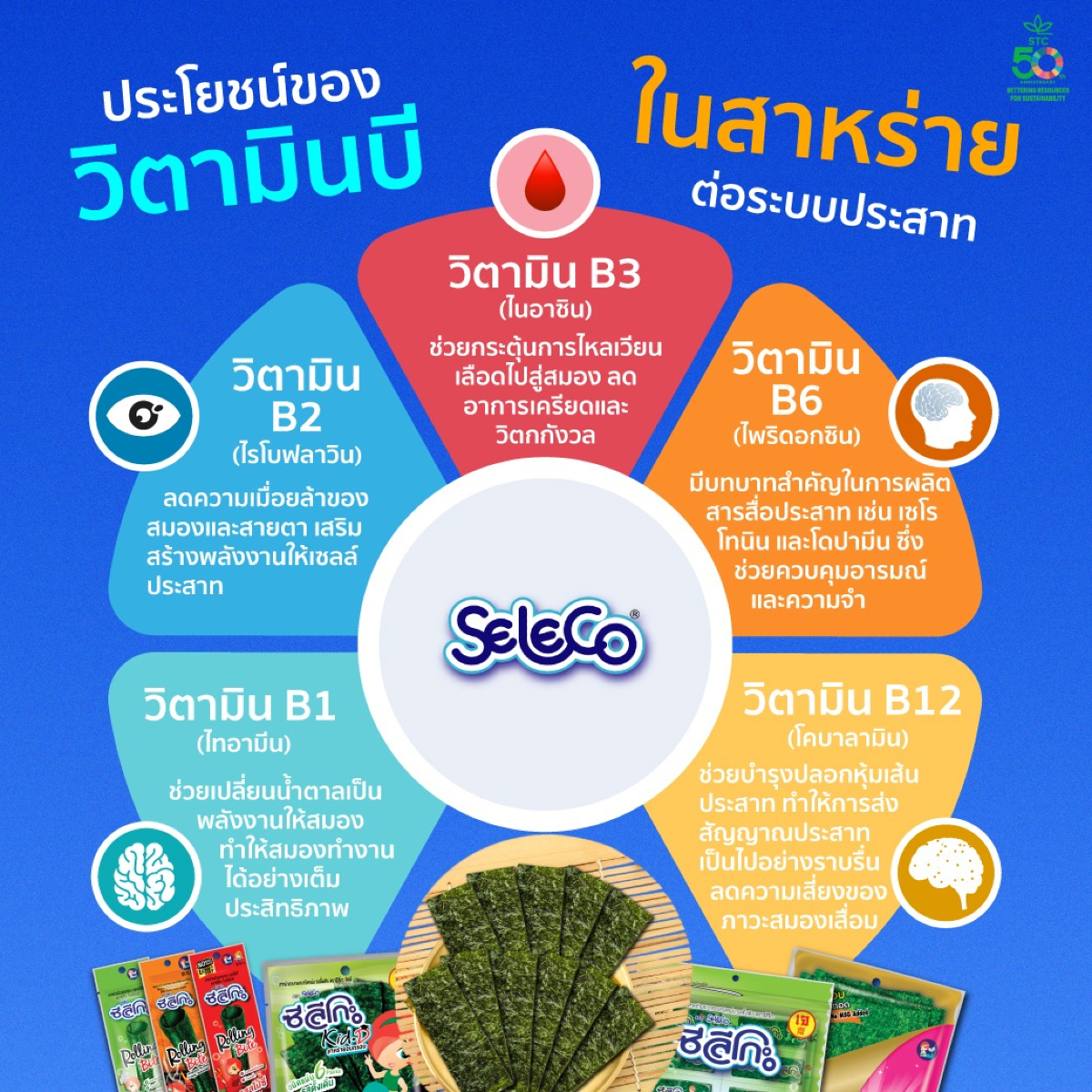 ประโยชน์ของวิตามินบีในสาหร่ายต่อระบบประสาท 🧠💡